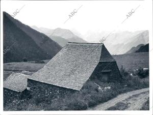 Pista de Barrados de Grandiosos Bosques y Panoramas