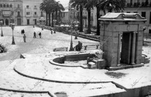 En nuestro grabado pueden verse las palmas de los datileros de la Plaza de las...