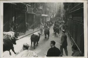 Toros corriendo por la calle los mercaderes por las fiestas de San Fermines