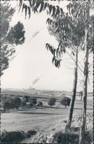 Vista general de Moguer desde el pinar de Fuentepiña