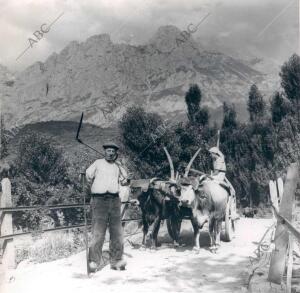 Al Fondo, la torre Friero del macizo central de los Picos de Europa