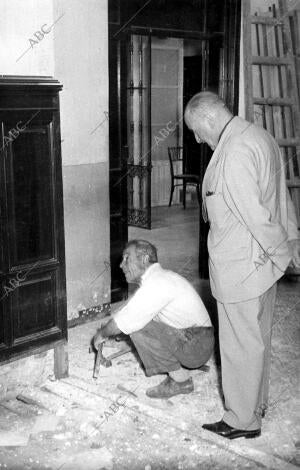 Termitas en el alcázar de Sevilla