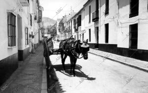 Una de las Calles del pueblo de Torremolinos (Málaga)