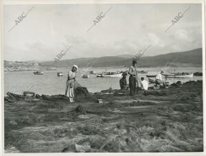 Varios pescadores, ayudados por una palilleira, arreglando las redes en la Ría...