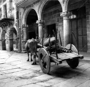 Una de las Calles del pueblo de Ribadavia (Orense)