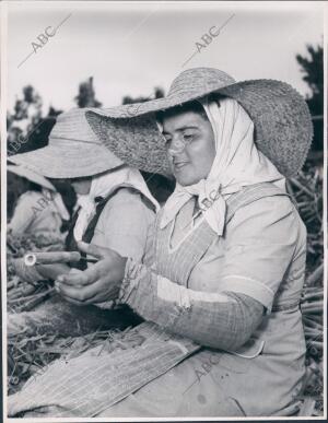 Mujer Trabajando en el campo