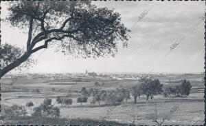 La "Blanca Maravilla" de Moguer, vista desde Fuentepiña