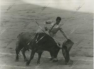 Fermin Murillo en las Ventas