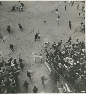 Pamplona. Julio de 1962. Encierros de Sanfermín. Entrada de los toros en la...