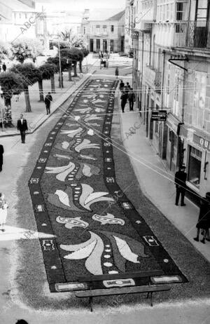 Alfombras de Flores en una de las Calles Principales del pueblo Pontáreas...