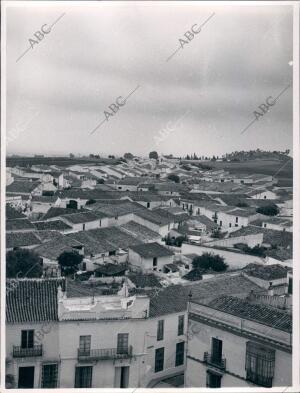 Moguer visto desde la torre de la Iglesia