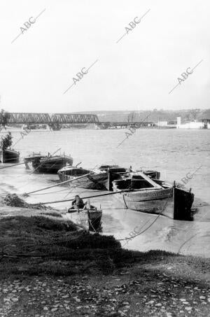 La Anegada Vega de Triana, la zona baja de san Juan y los Márgenes del río...