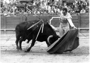 Pedro Martínez pedrés Inmortalizó un Magnifico Toro de Urquijo en la real...