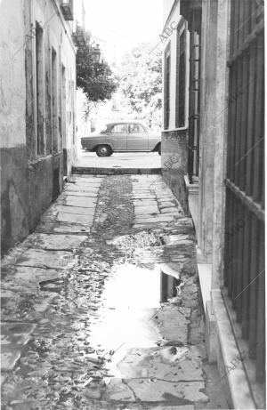 El barrio de santa Cruz. Calle mezquita