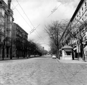 Una vista de la calle de Serrano, en el barrio de Salamanca, con adoquinado