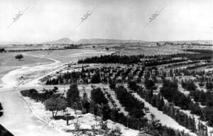 Vista general de la Finca "lo Romero" en Murcia