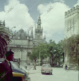 Vistas de la Giralda y de la Catedral