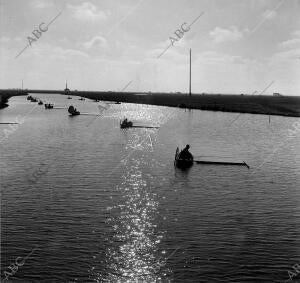 La Albufera