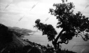 La costa por la caleta y el Limonar (Málaga)