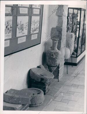 Museo de Ampurias