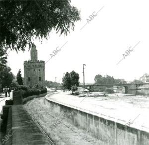 Raíles del antiguo ramal ferroviario del puerto de Sevilla, que Unía la que...