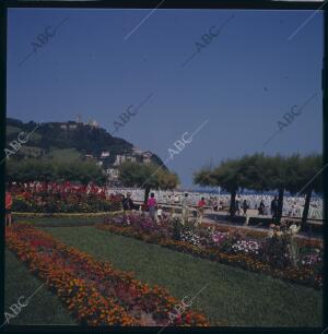 San Sebastian, 1970 (CA.). Jardines de Ondarreta. Al fondo, el Monte Igueldo