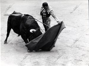 Antonio Ordoñez da natural a uno de los toros del señor duque de Pinohermoso