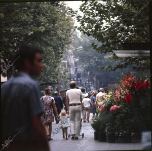 Un hermoso aspecto de la Rambla de las flores