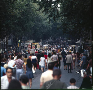 Un hermoso aspecto de la Rambla de las flores