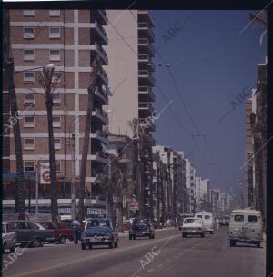 Avenida de Ana Viya, enmarcada por modernos edificios de apartamentos y palmeras