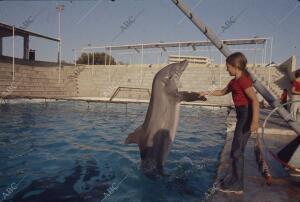 Simpática imagen de la Infanta Elena con los delfines