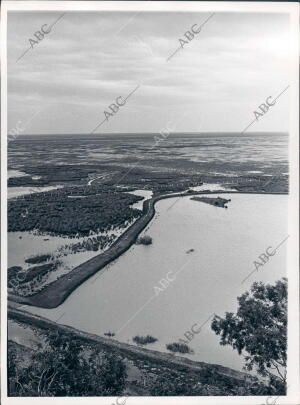 Marismas en el coto de Doñana