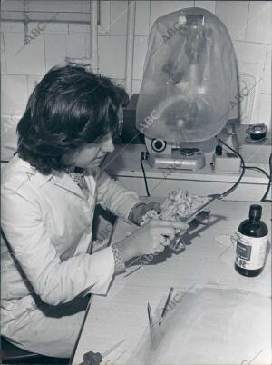 Investigadora en el laboratorio del coto de Doñana