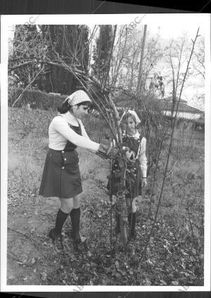 Alumnas de la escuela nacional de Instructoras Rurales en clase de Jardinería