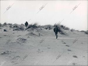 Dunas en el coto de Doñana