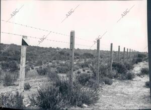 Alambrada Situada en el coto de Doñana