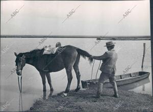 Un hombre con su caballo en las Marismas del coto de Doñana