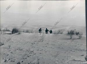 Dunas en el coto de Doñana