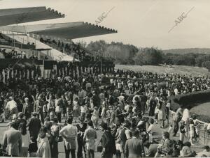 Aspecto que presentaba el Hipódromo de la Zarzuela