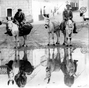 Dos Hombres con sus Burros en el pueblo Belvís de la Jara (Toledo)