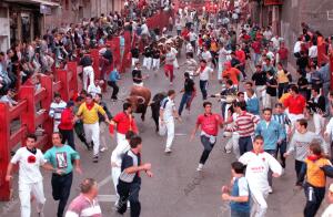 Encierros en san Sebatian de los Reyes