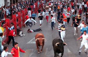 Encierros en san Sebatian de los Reyes