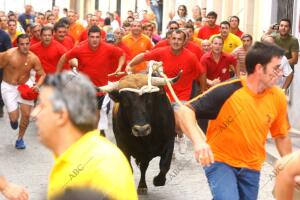 Toro de cuerda en Carcabuey