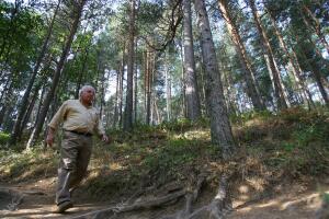 Entrevista con el escritor Javier Reverte en los bosques de pinos de Valsaín, en...