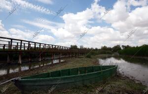 situación de Sequia en el parque nacional de las Tablas de Daimiel en la...