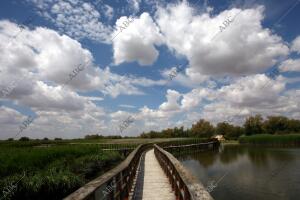 situación de Sequia en el parque nacional de las Tablas de Daimiel en la...