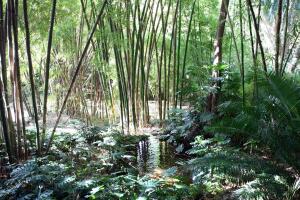 En la imagen, el Jardín Botánico de La Concepción