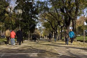 Reportaje sobre Madrid. En la Imagen: paseo de Recoletos