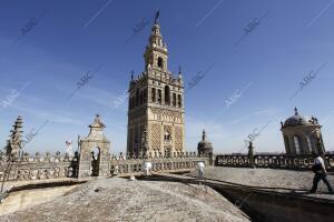 Visita a las cubiertas de la Catedral. Diferentes vistas de Sevilla