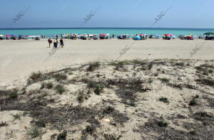 Rober Solsona....20140728....Valencia....Playa de Almarda, en Sagunto.Archdc